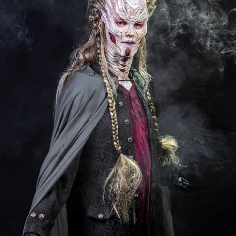 Image Not Found On Media Library