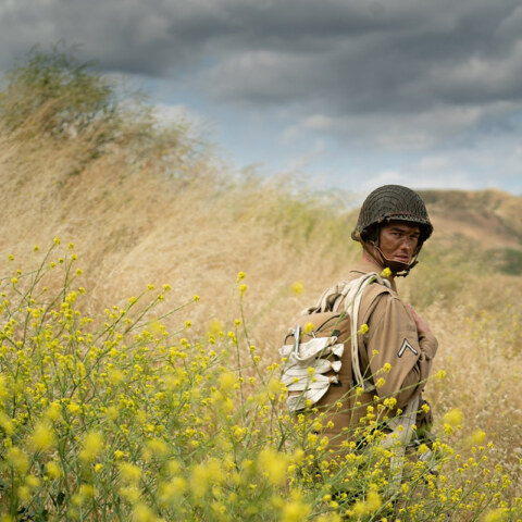 Image Not Found On Media Library