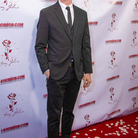 Image Not Found On Media Library